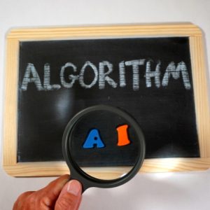 Standard Algorithm Update Response Package for Search Engine Optimization