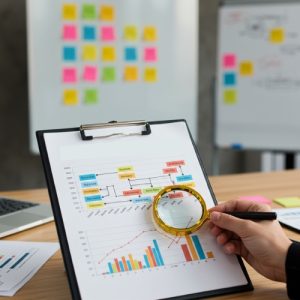 Monthly SEO Growth Report + Customized Link Building Plan